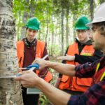 2016_Foresterie prof_RogerSt-Laurent