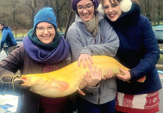  IMG-20231202-WA0005 (1)