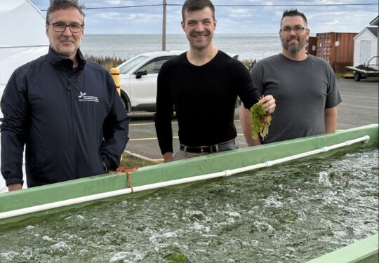  Bassin algues exterieur